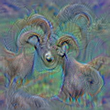 n02415577